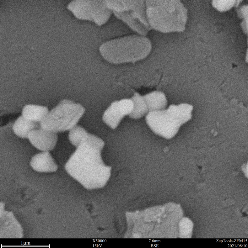 50000倍臺式掃描電鏡拍攝圖 50000倍臺式掃描電鏡拍攝圖