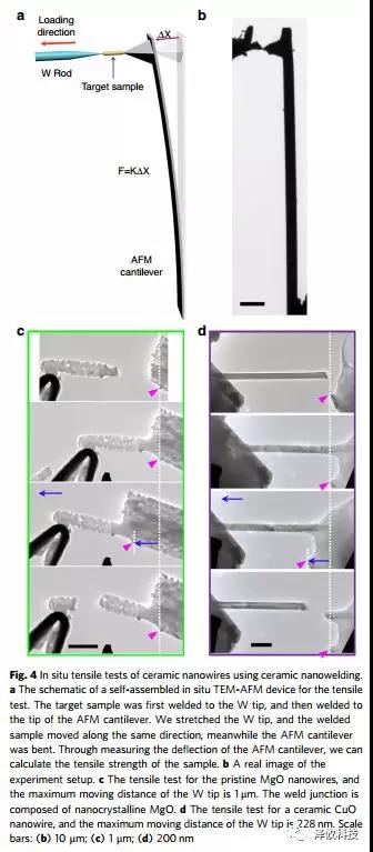 原位TEM-STM系統應用 原位TEM-STM系統應用