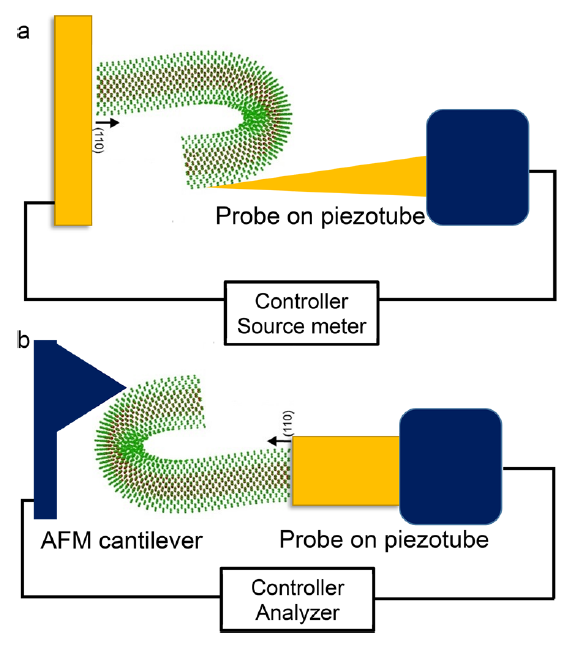 NanoLetters:力-電樣品桿在納米材料力學/電學性能(圖2) PicoFemto原位力學-電學樣品桿實驗原理圖