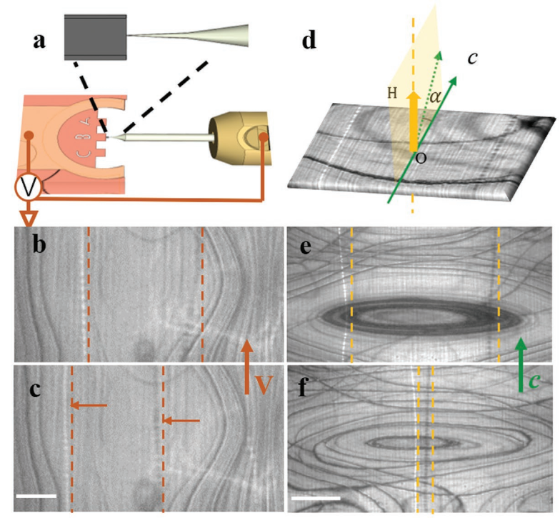 低溫下的原位TEM力-電學測試 低溫下的原位TEM力-電學測試