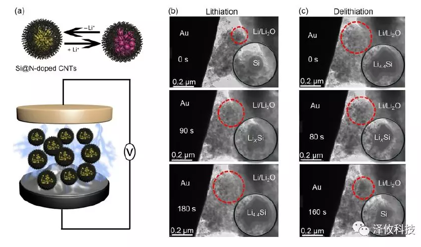 原位觀測Si@N-doped CNTs陽極的充放電過程 原位觀測Si@N-doped CNTs陽極的充放電過程