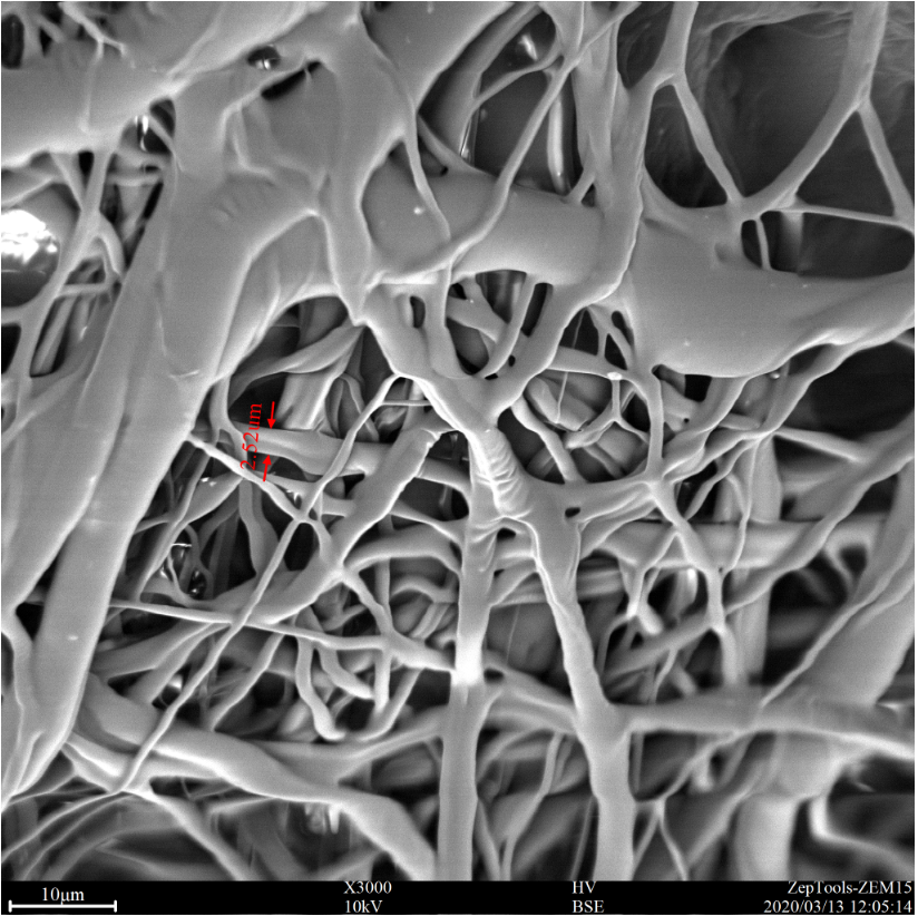 掃描電鏡下的醫用外科口罩圖片