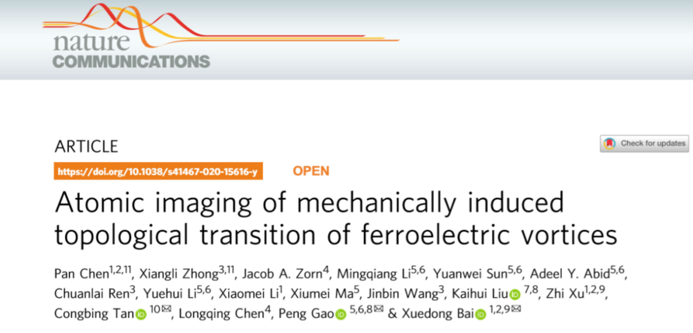 原位TEM研究實驗方法作者 原位TEM研究實驗方法作者