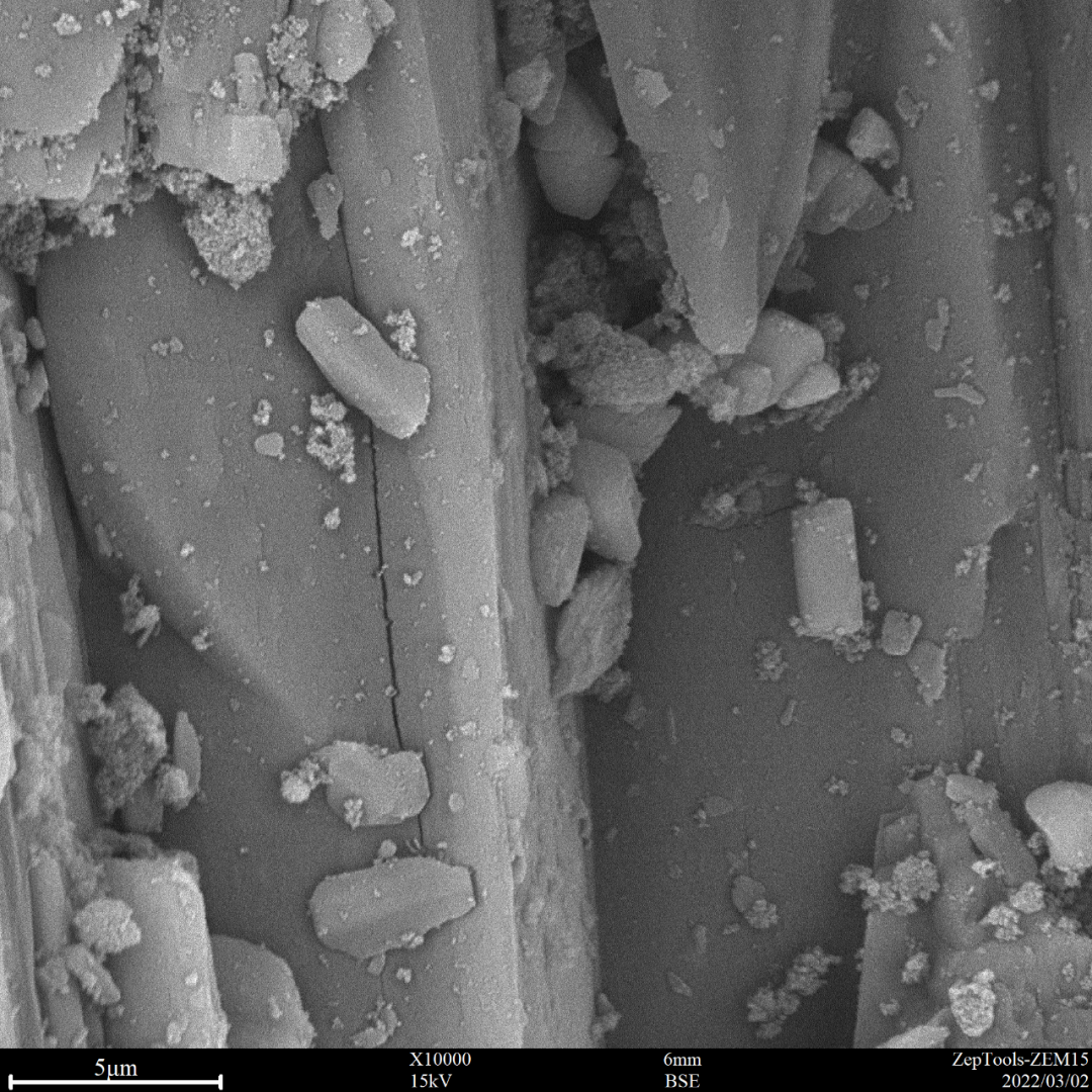 圖6 頭孢稀釋劑(臺式掃描電鏡10000倍照) 圖6 頭孢稀釋劑(臺式掃描電鏡10000倍照)