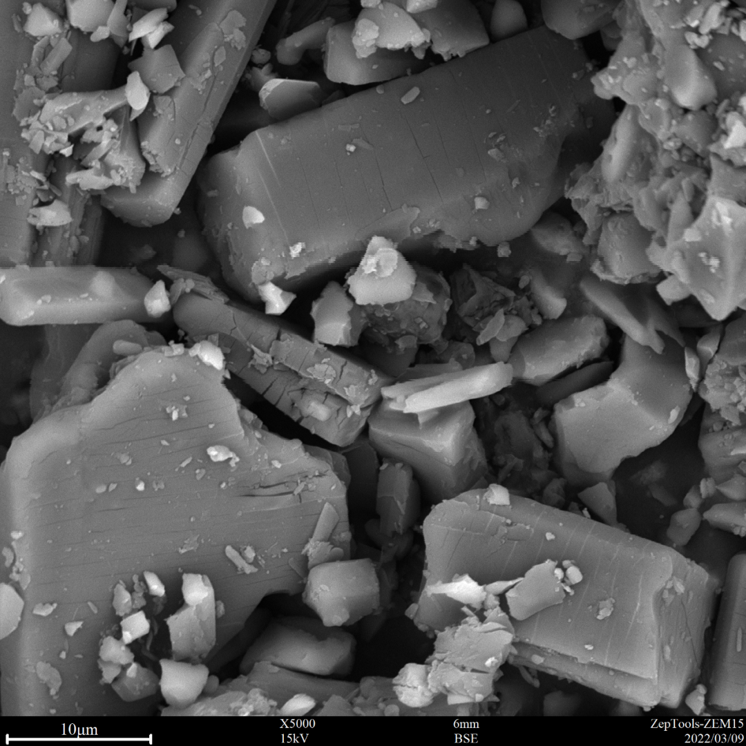 圖8 阿莫西林(臺式掃描電鏡5000倍照) 圖8 阿莫西林(臺式掃描電鏡5000倍照)
