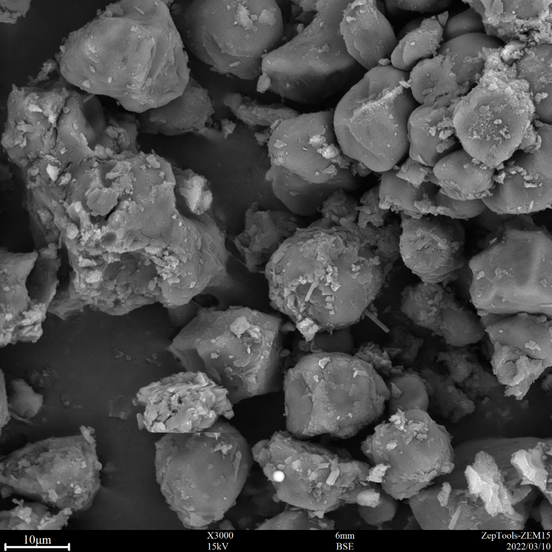 圖11 氯雷他定(臺式掃描電鏡3000倍照) 圖11 氯雷他定(臺式掃描電鏡3000倍照)