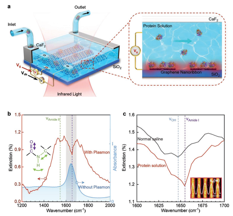圖3 可調(diào)諧石墨烯等離激元增強(qiáng)紅外光譜平臺.png