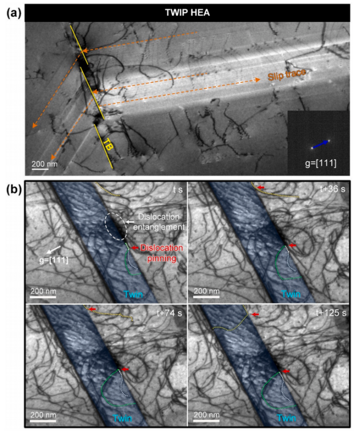 NiCoCrO合金與TWIP HEA的原位TEM拉伸實(shí)驗(yàn)