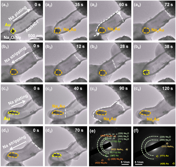Au/HCT-CC電極的原位TEM表征 Au/HCT-CC電極的原位TEM表征