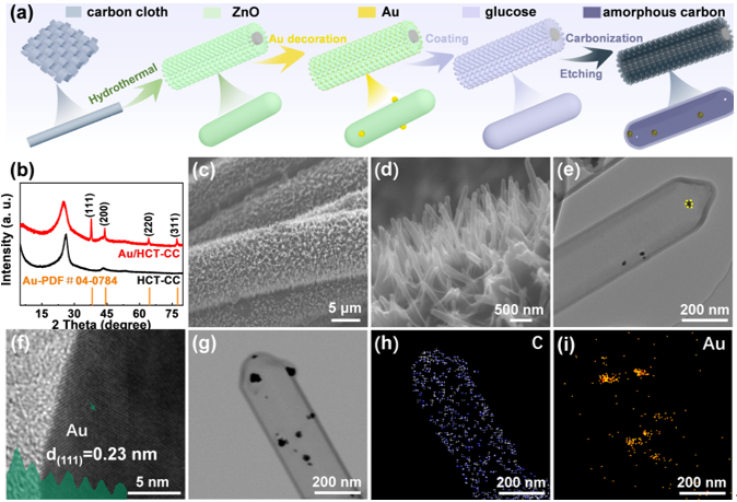 Au/HCT-CC的制備流程圖和SEM、TEM形貌表征 Au/HCT-CC的制備流程圖和SEM、TEM形貌表征