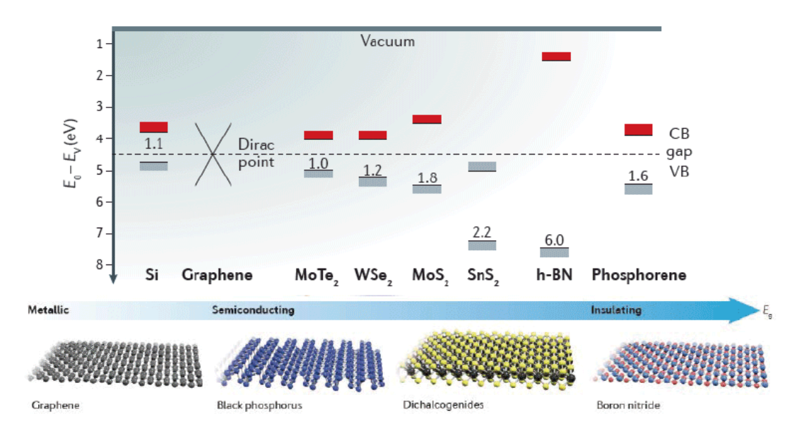 二位材料的生長與表面裝飾 二位材料的生長與表面裝飾