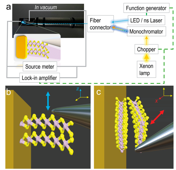 二維納米材料展現(xiàn)出多種力電和光電性能 二維納米材料展現(xiàn)出多種力電和光電性能