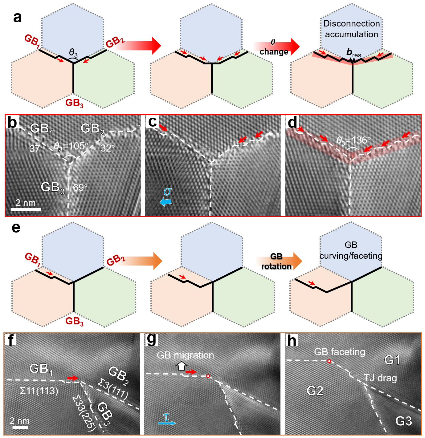 失配位錯介導的TJ形貌轉變 失配位錯介導的TJ形貌轉變