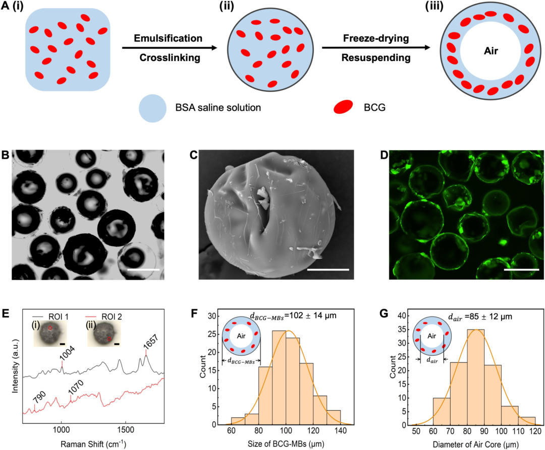 臺式掃描電鏡 臺式掃描電鏡