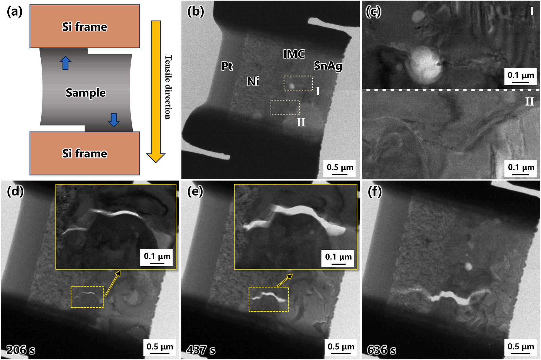 澤攸科技原位TEM 澤攸科技原位TEM