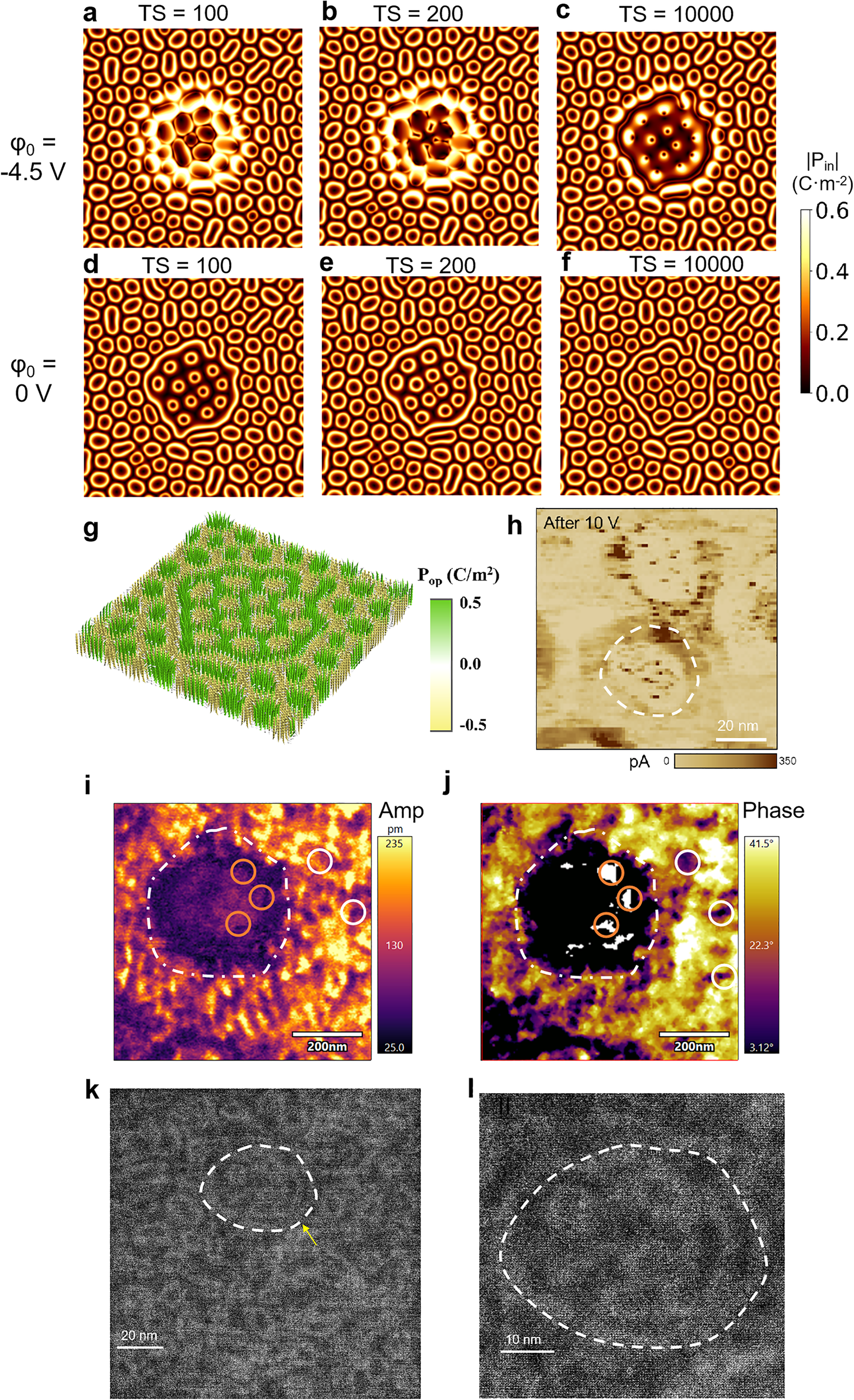 原位電子顯微鏡 原位電子顯微鏡