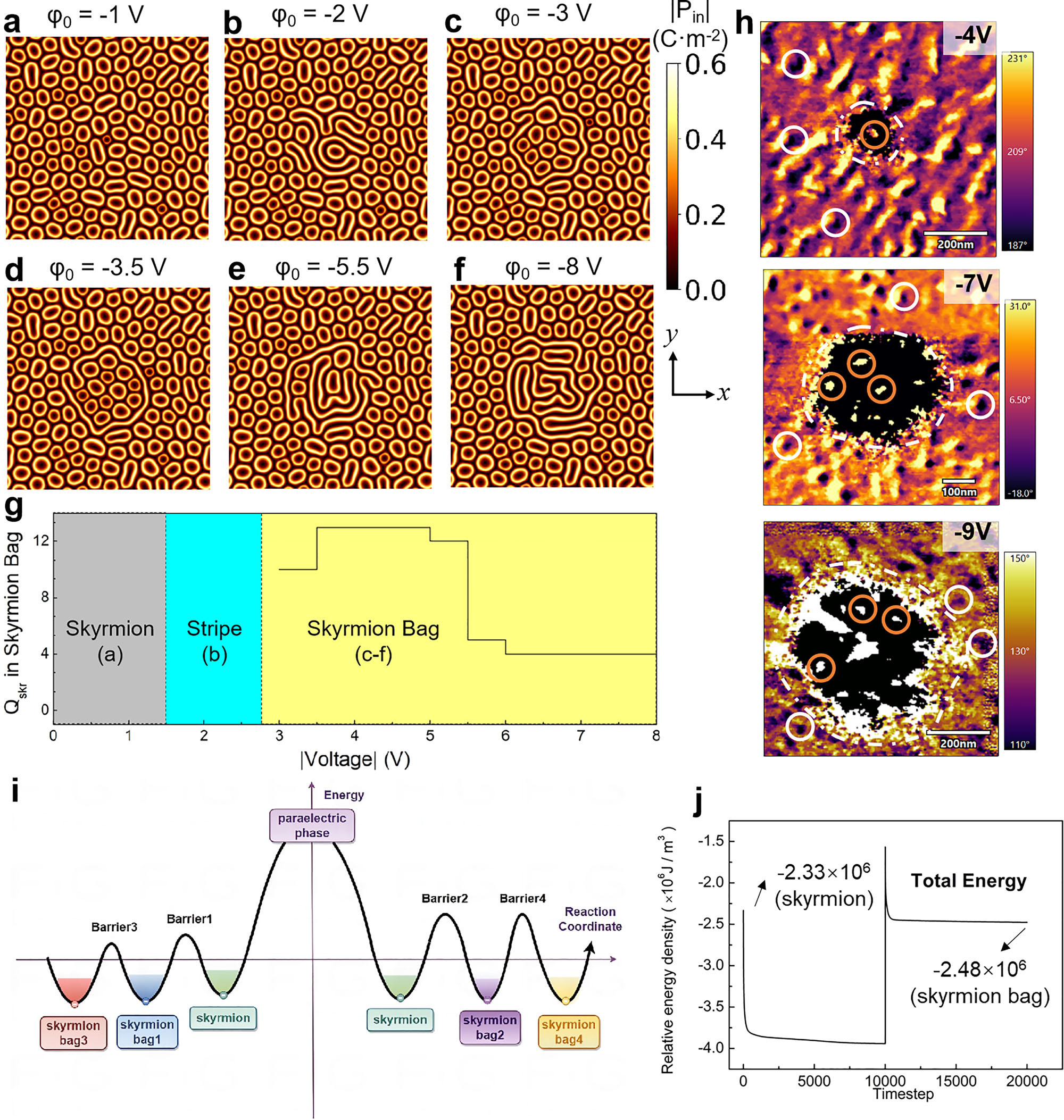 原位電子顯微鏡 原位電子顯微鏡