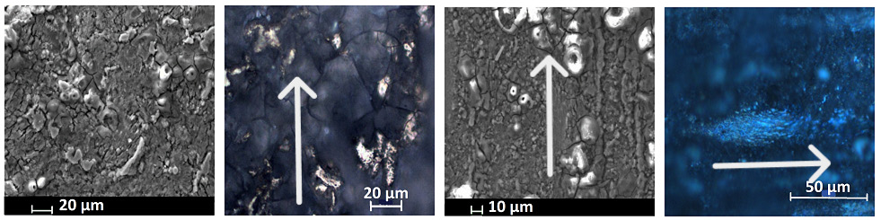 澤攸科技ZEM系列掃描電鏡