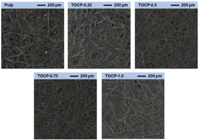 澤攸科技ZEM系列掃描電鏡 | 低介電常數可調 TEMPO 氧化纖維素手抄紙用于高性能印刷電子基板(圖6) 6.png