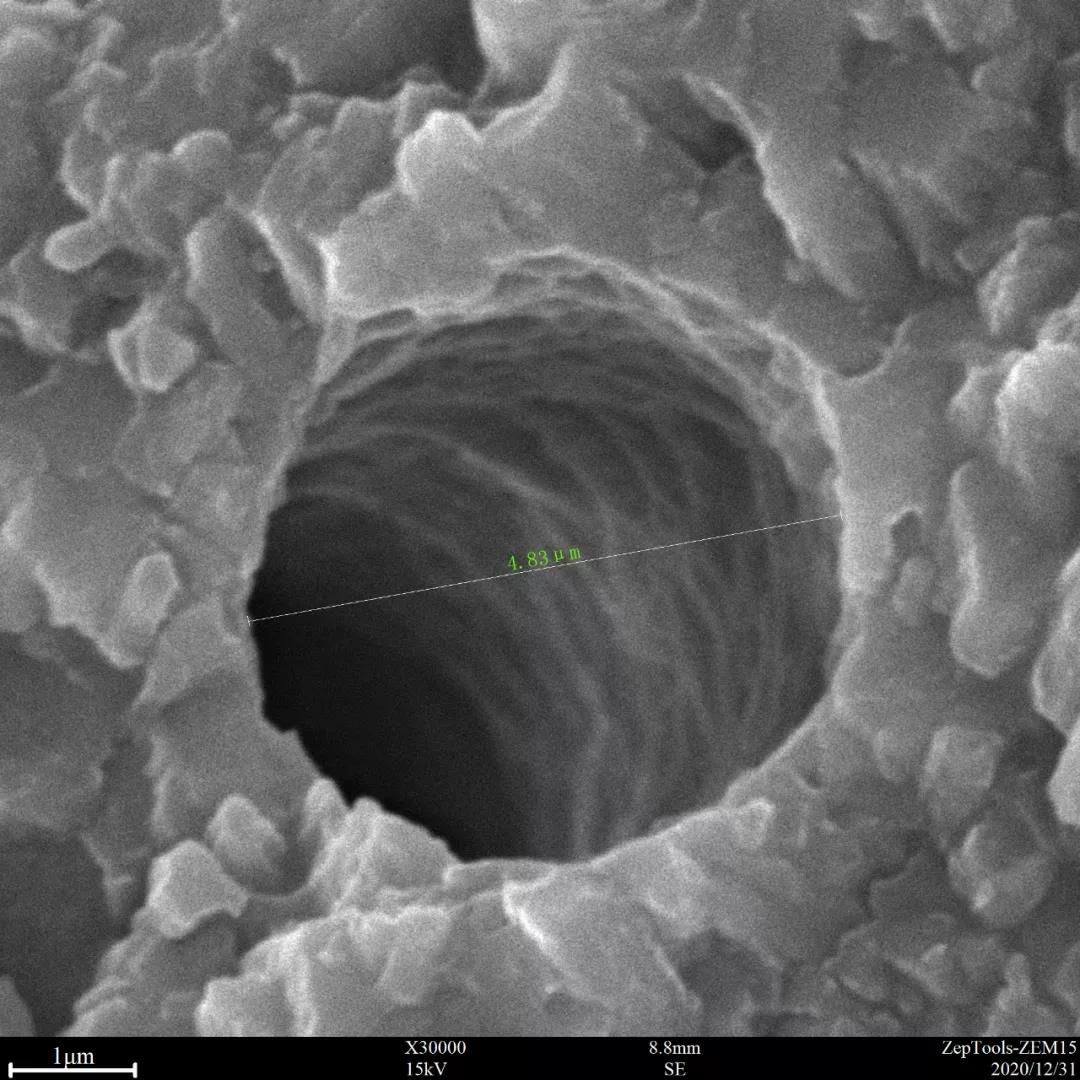 臺式掃描電鏡應用圖 臺式掃描電鏡應用圖